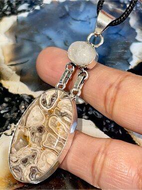 Fossilized Palm Root Agate & Rainbow Moonstone Pendant 2 7/8”
